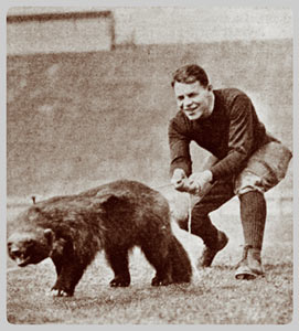 The University Main Building