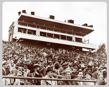 The University Main Building