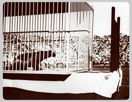 The University Main Building