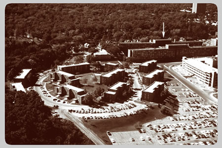 The University Main Building