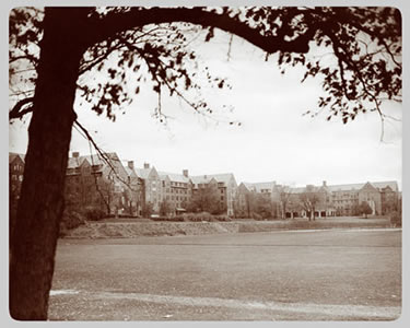 The University Main Building
