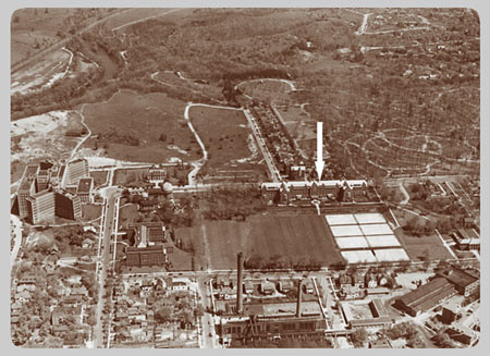 The University Main Building