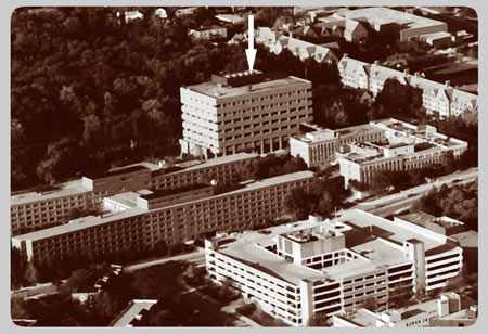 The University Main Building