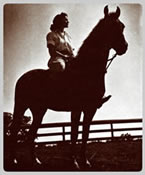 The University Main Building