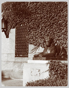 The University Main Building