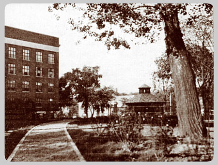 The University Main Building