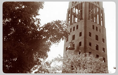 The University Main Building