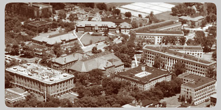 The University Main Building