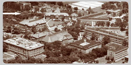 The University Main Building