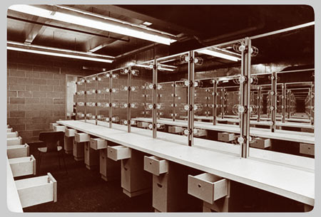 The University Main Building