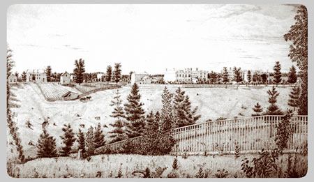 The University Main Building