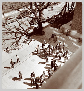 The University Main Building