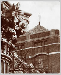 The University Main Building