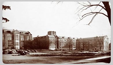 The University Main Building