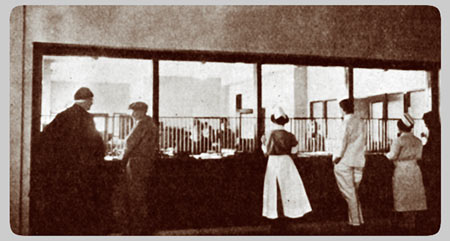 The University Main Building