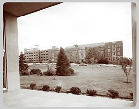 The University Main Building