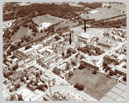 The University Main Building