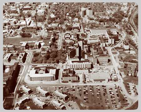 The University Main Building