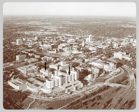 The University Main Building