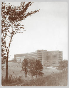 The University Main Building