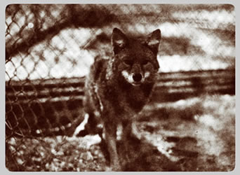 The University Main Building