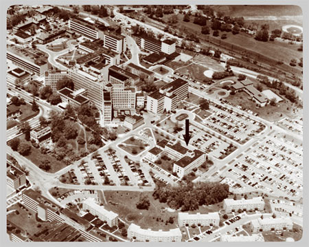 The University Main Building