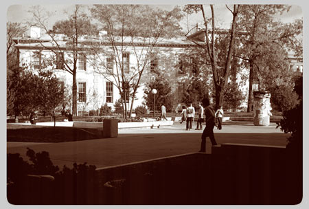 The University Main Building