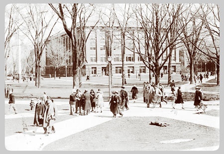 The University Main Building