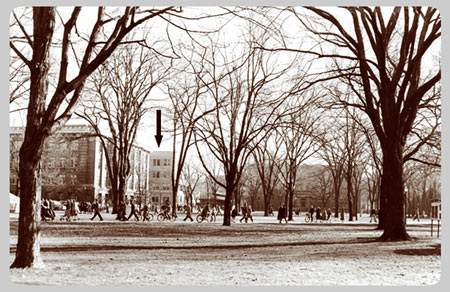 The University Main Building