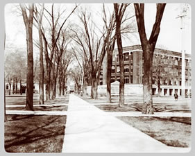 The University Main Building