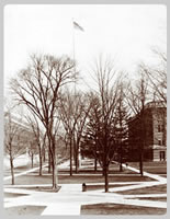 The University Main Building