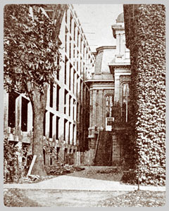 The University Main Building