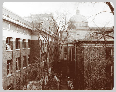 The University Main Building