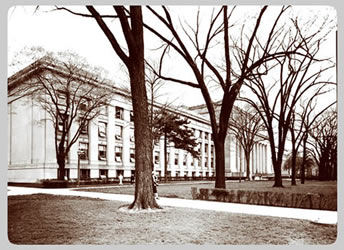 The University Main Building